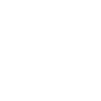 deluxe surprise